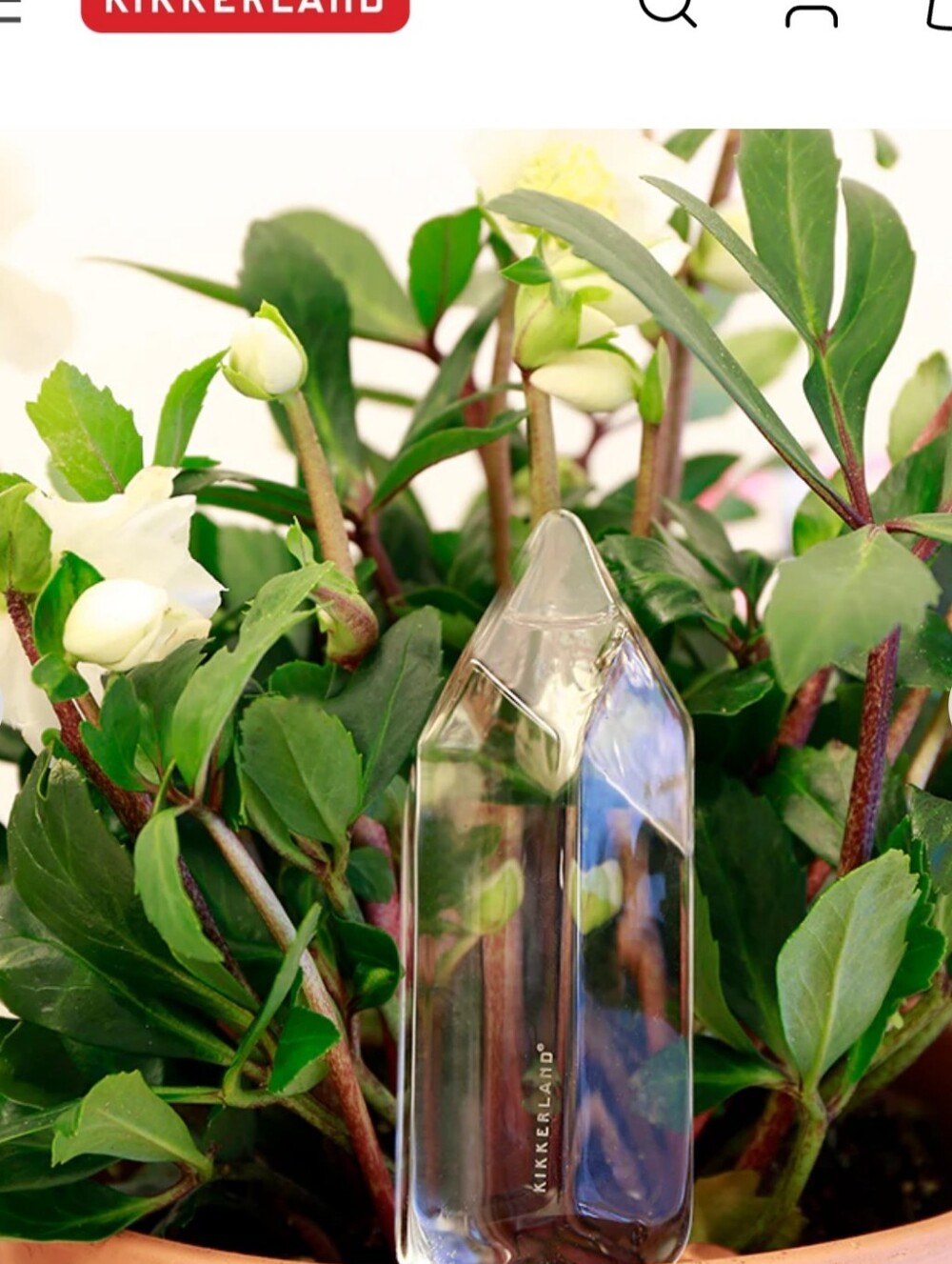 Kikkerland Crystal Shaped Self-Watering Plant Globe